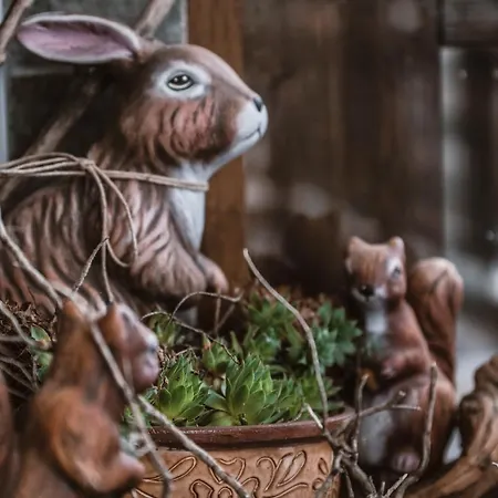 θεοδώρου Πανσιόν 3*